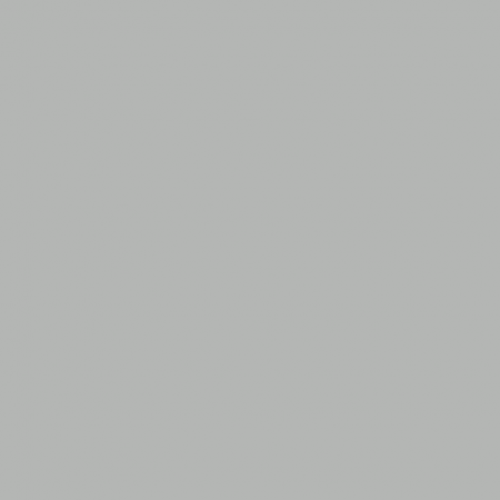 peinture-sur-porcelaine-lustre-rachel-plantier-gris-clair