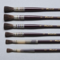 Série Raphaël Technique Américaine 16240