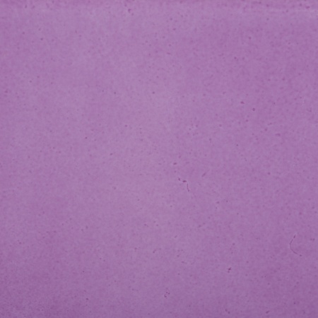 peinture-sur-porcelaine-couleur-rachel-plantier-anemone-10-grammes-couleur-porcelaine-cuisson-800°C-860°C-china-painting-color