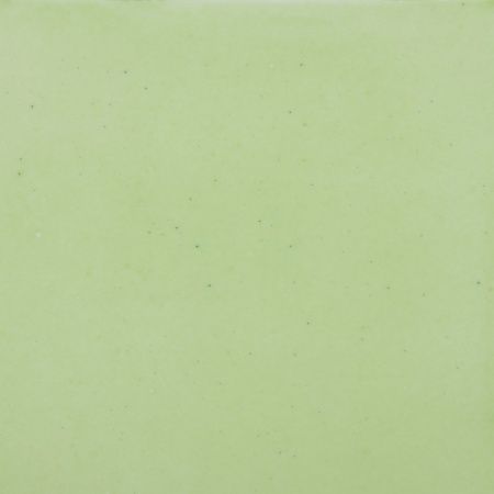 peinture-sur-porcelaine-couleur-rachel-plantier-vert-printemps